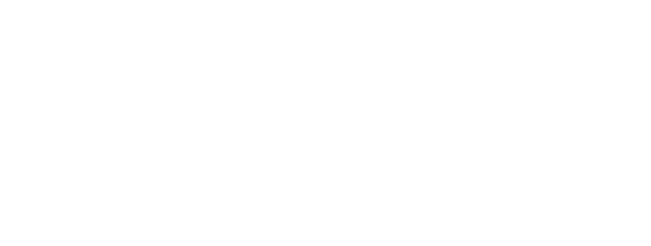 Ditrolic Energy Logo White