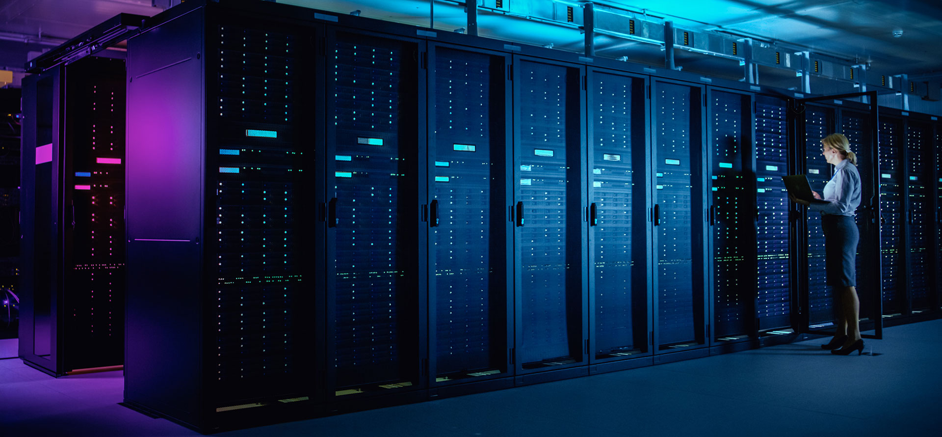 Pantau Bottom Line Anda Secara Real-time