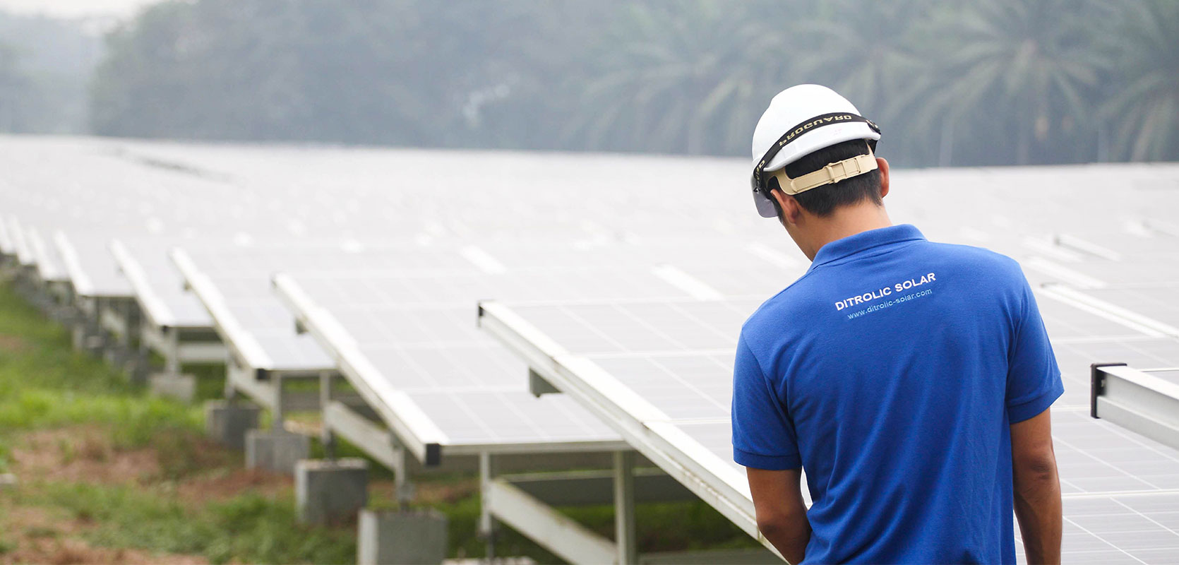 Solar System Supervision